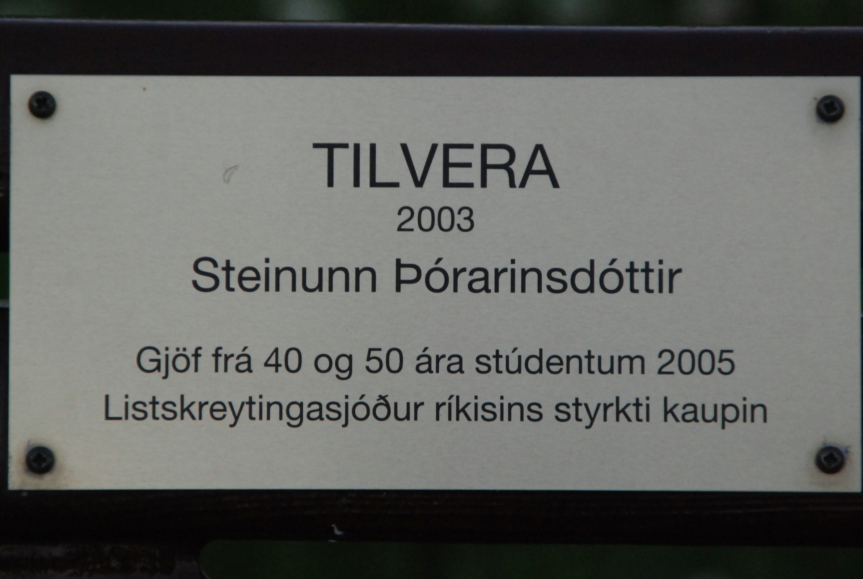 TILVERA, 2003, Steinunn Porarinsdottir